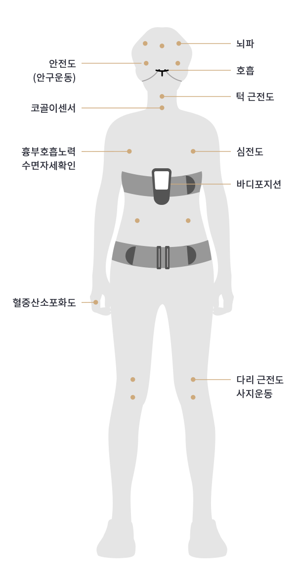 검사 항목