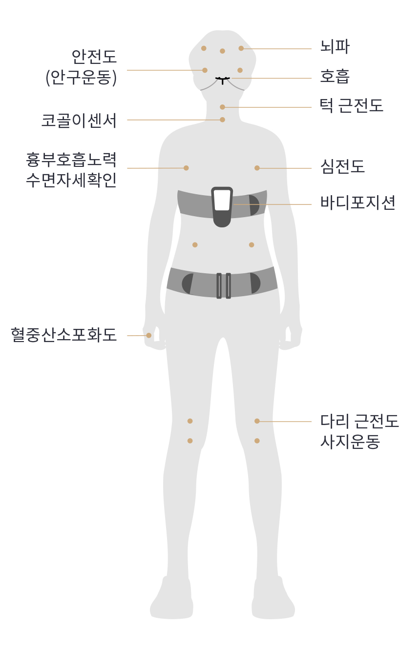 검사 항목